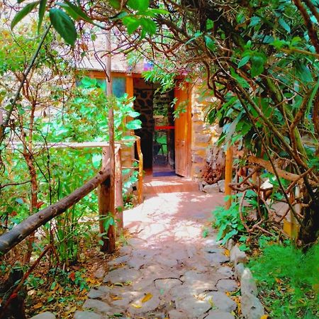 Hospedaje K'Uchuwasi Ollantaytambo Exteriör bild